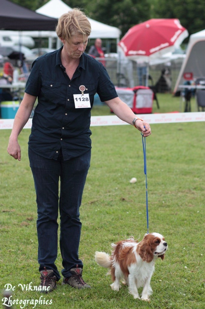 Publication : Des Eternels Charmeurs