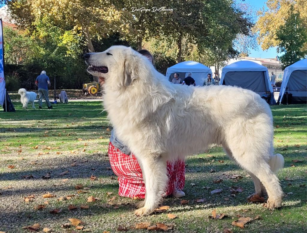 Very bad trip Des Gorges De Cauterets