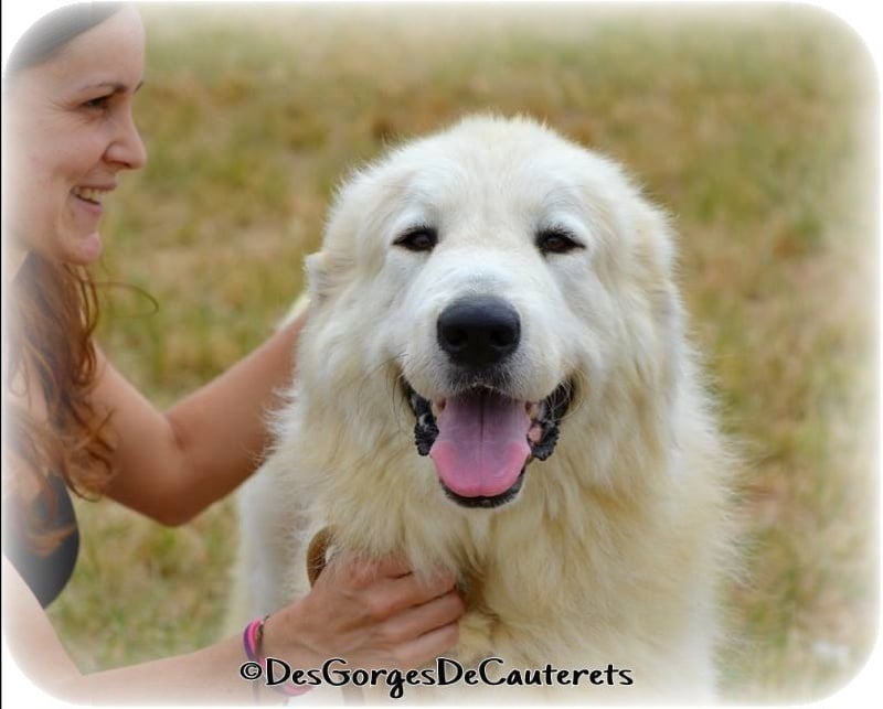 Isaby Des Gorges De Cauterets - 1er Exc