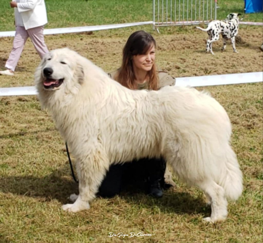 Veni vidi vici Des Gorges De Cauterets - CACJ - BOS