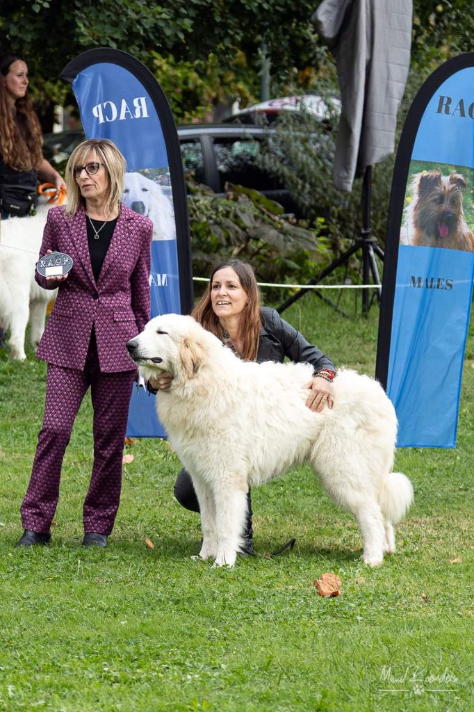 Very bad trip Des Gorges De Cauterets - 1er TP - Best Puppy
