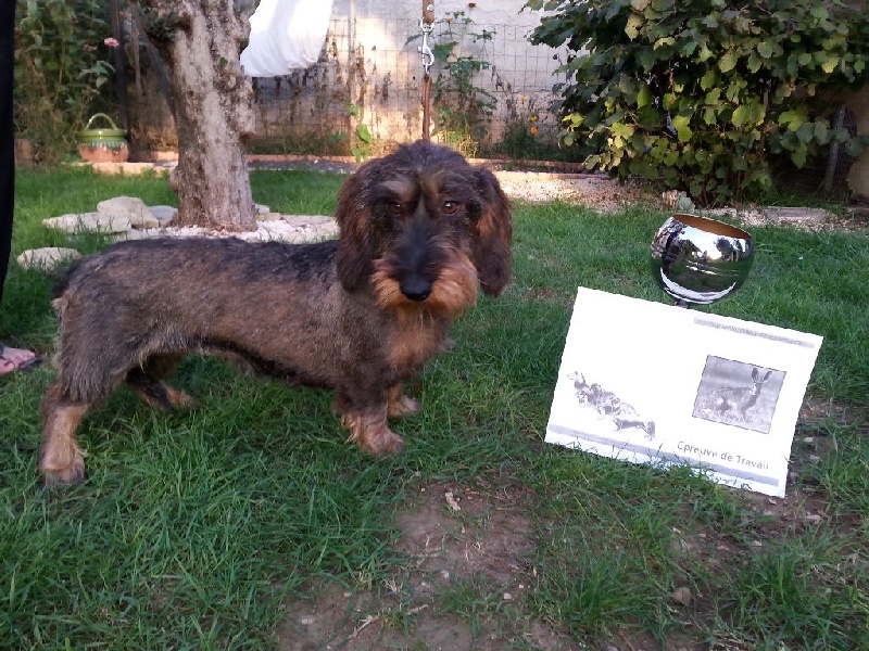 Ujka z lopenickych kopcu - III PRIX