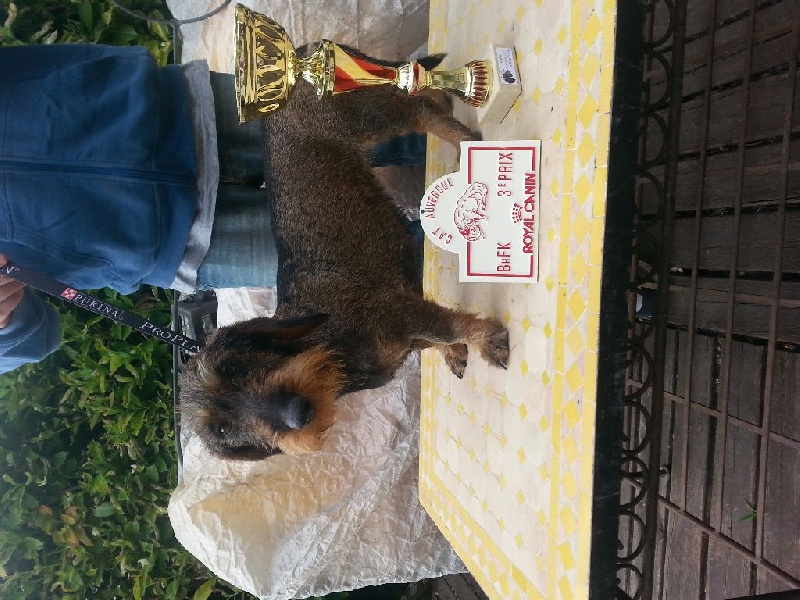 Ujka z lopenickych kopcu - 3 ème prix