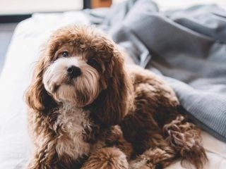 Photo hameau de selcra