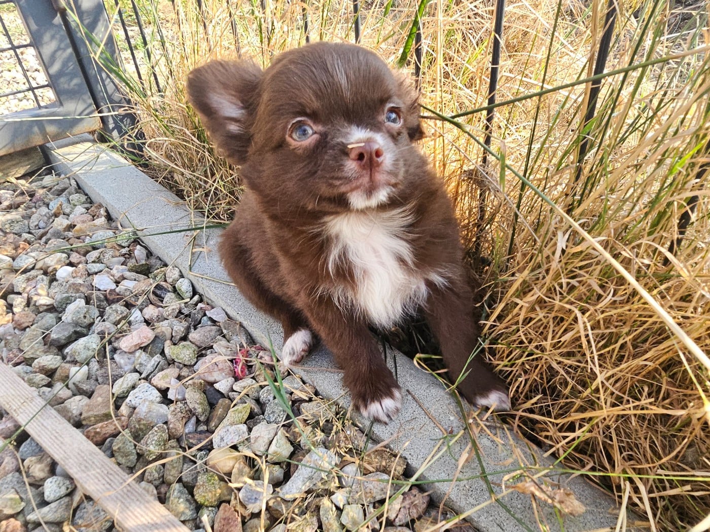 Bouba