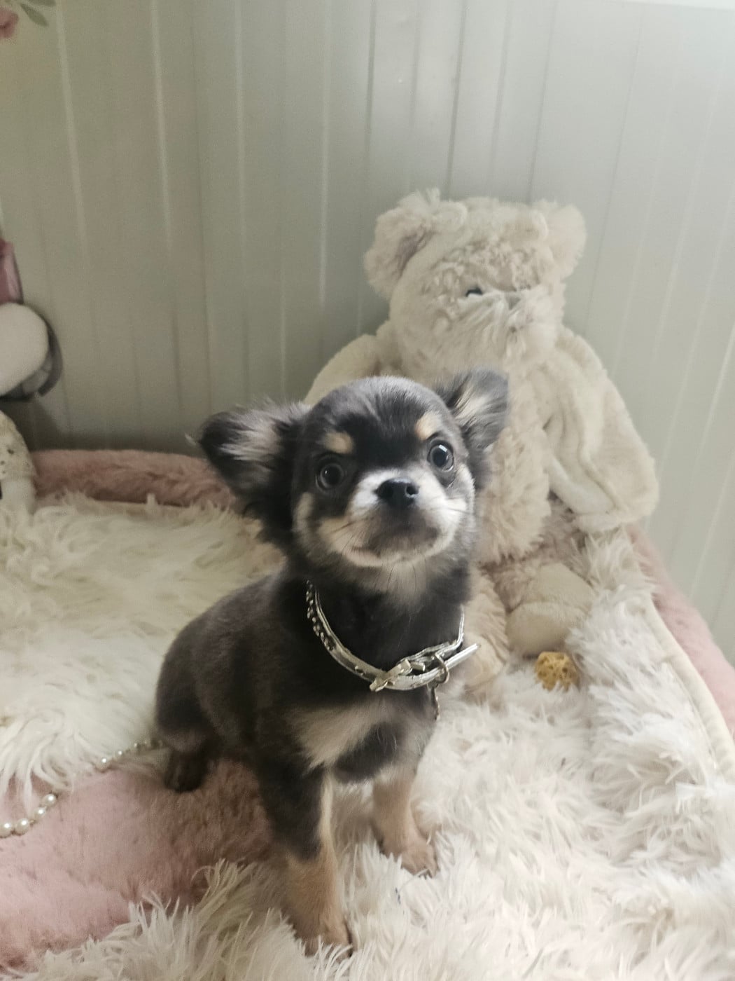 Bijou