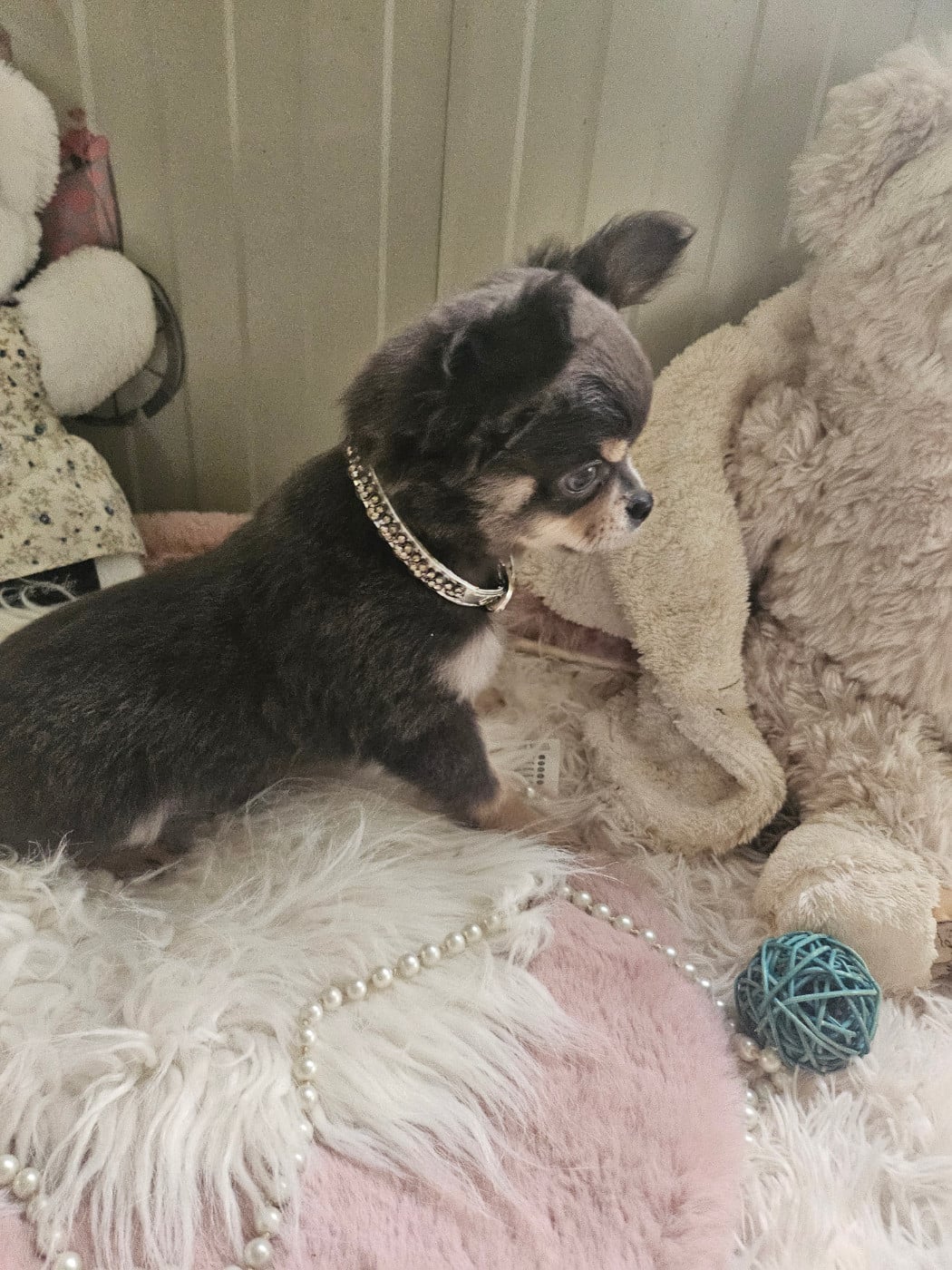 Bijou