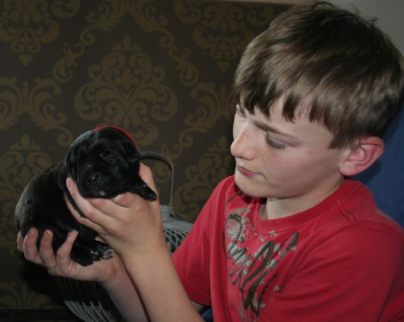 Publication : Corso Nobile