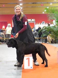 Publication : Corso Nobile Auteur : van Pottelsberghe de la Potterie