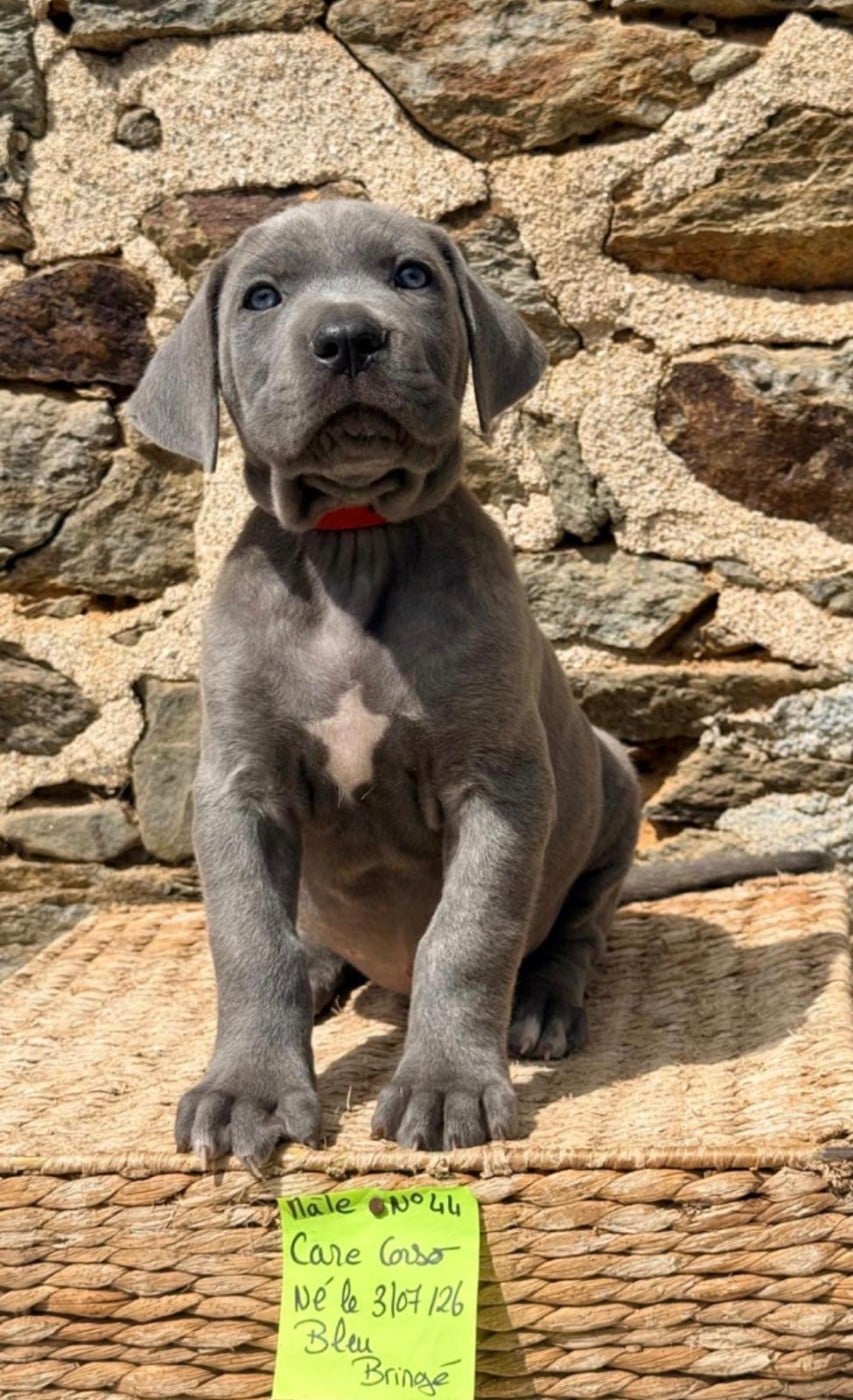 44