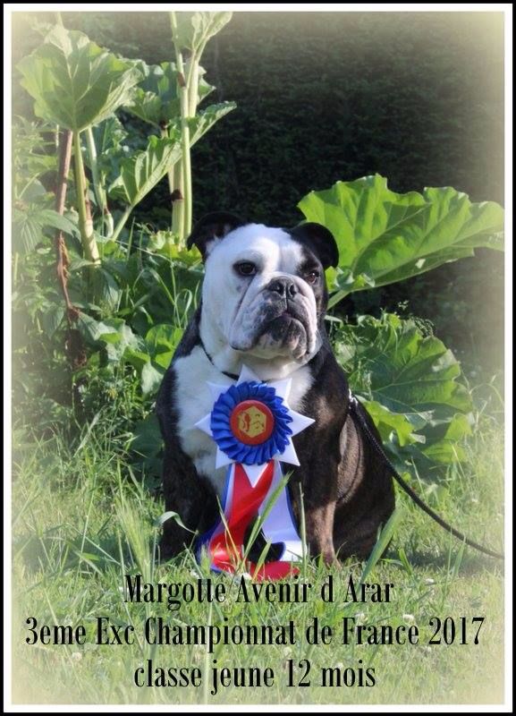 CH. Mona lisa aka margotte Avenir D'Arar - 3 eme excellent