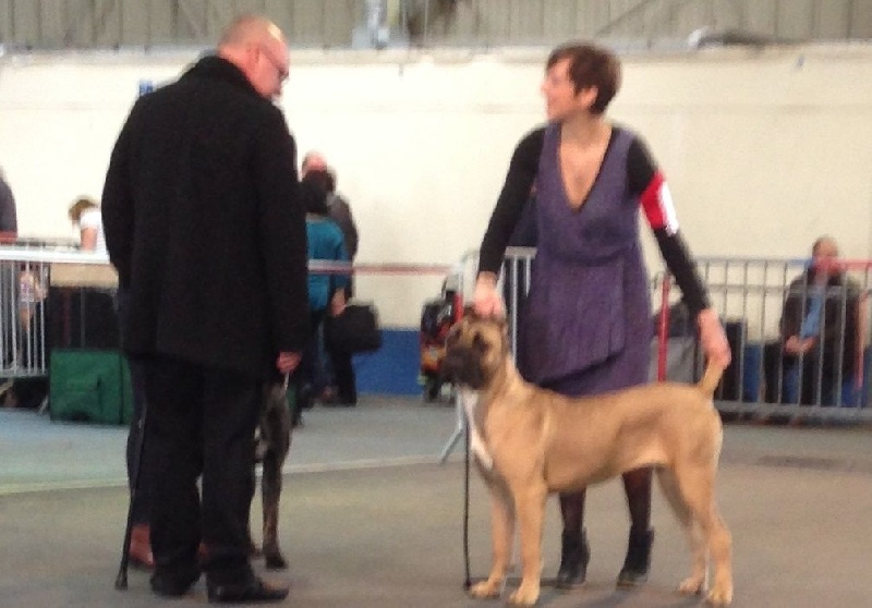 Publication : Des Anges De Cocagne