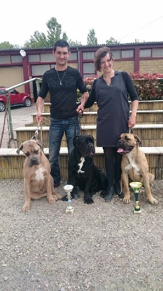 CH. Janis des Dunes Des Sages - 1 ere Excellent et MEILLEURE JEUNE