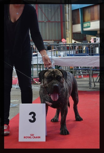 El Véhêmach' Jaguar - 3 ème Excellent