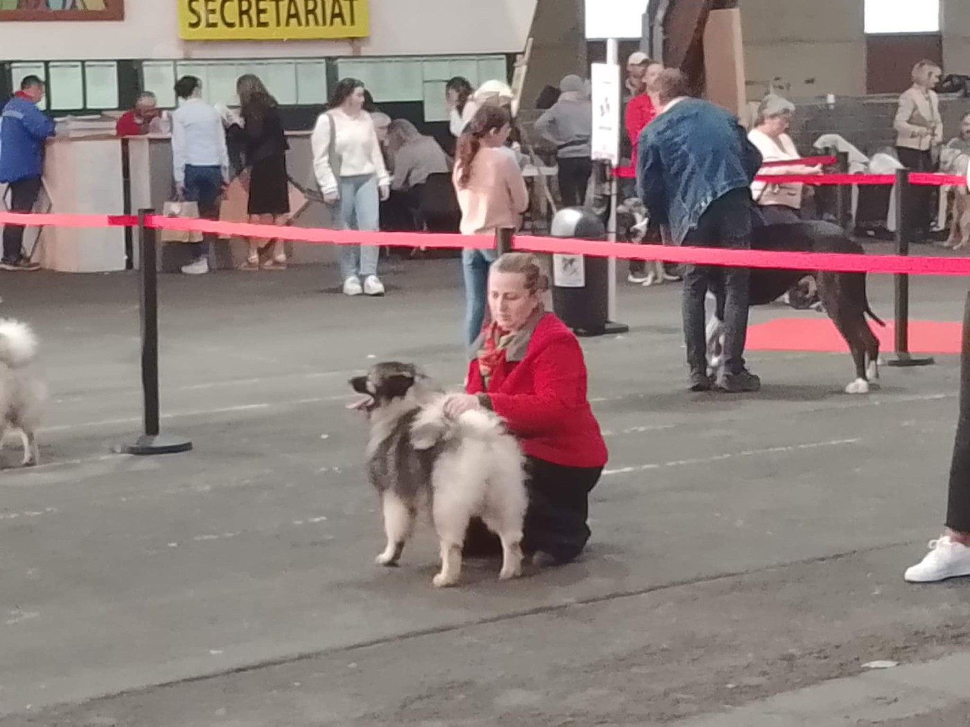 Publication : Des Mysteres Au Coeur Tendre