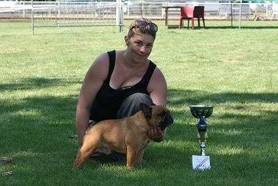 Charli chaplin du Terroir de fontfroide - 1er excellent CACS