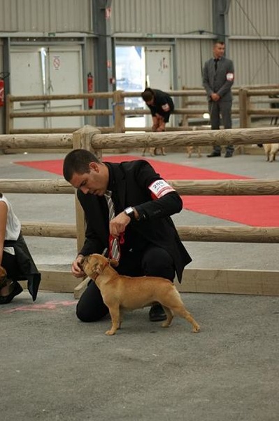 Hesméralda de la Roubine du Roy - TRES BON