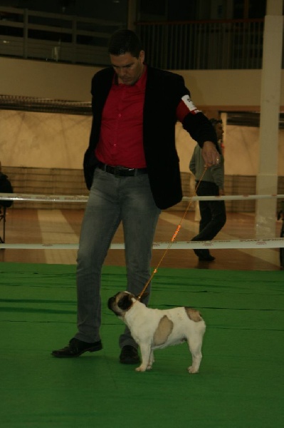 Junky jenny vengzao - excellent