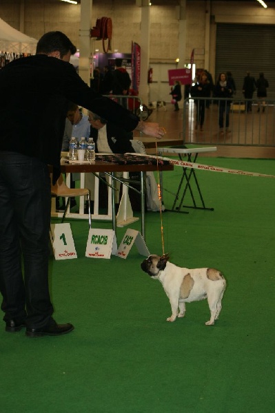 Junky jenny vengzao - Trés bon