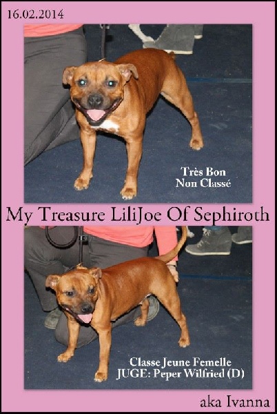 My treasure lilijoe of sephiroth - Très bon Non Classé