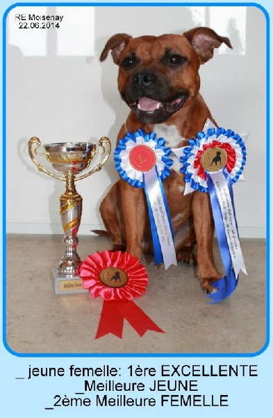 My treasure lilijoe of sephiroth - 1ère EXC, meilleur jeune, 2ème meilleure Femelle