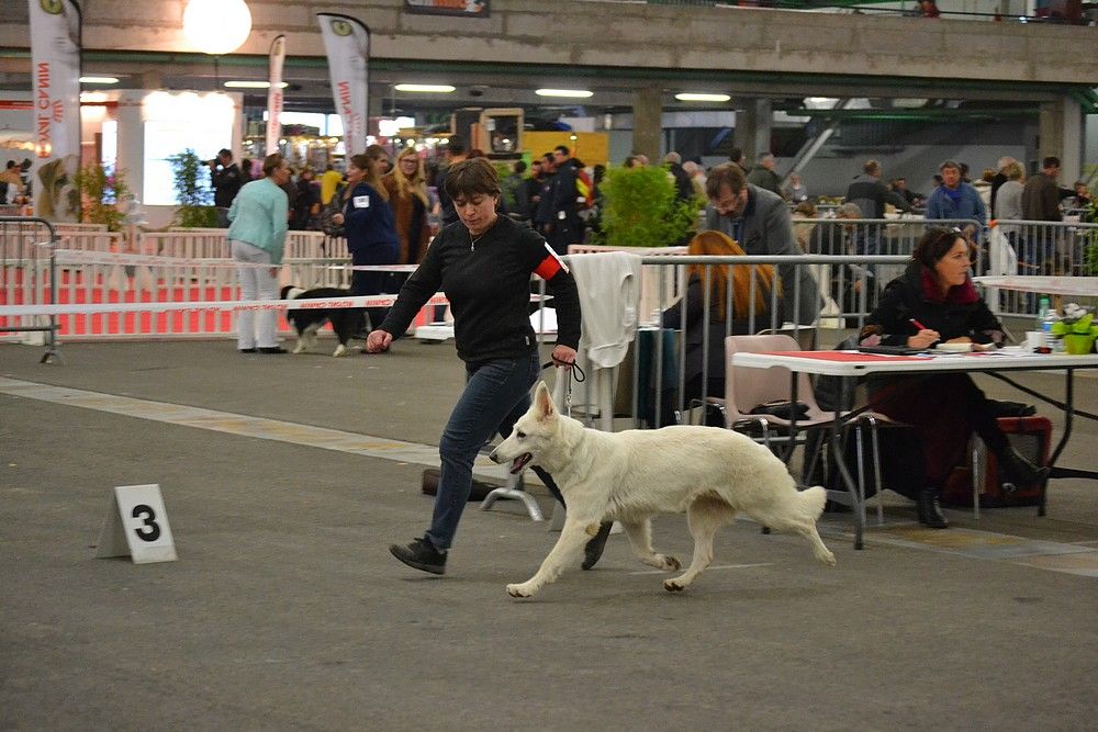 First idylle Du Bois Des Ternes - classe ouverte : 1ere Excellent