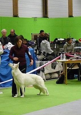 First idylle Du Bois Des Ternes - 2ème exc rcacs