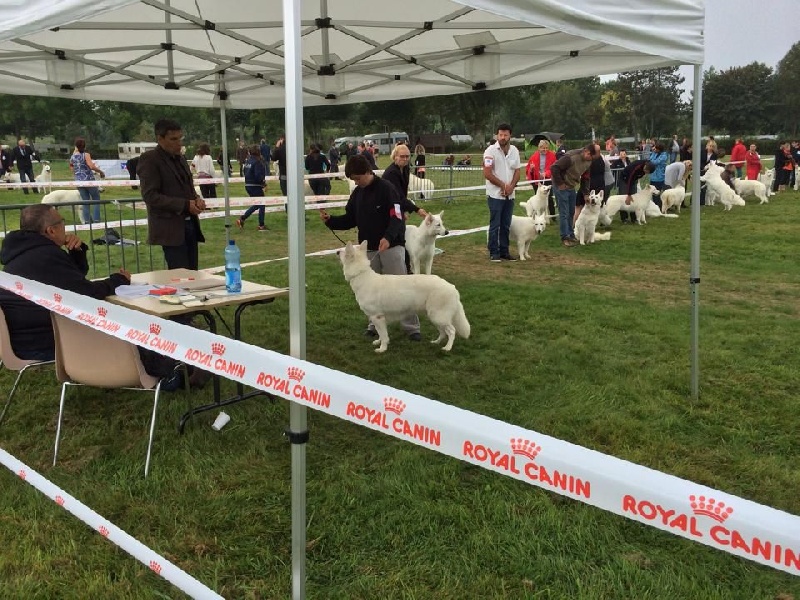 First idylle Du Bois Des Ternes - Exc NC