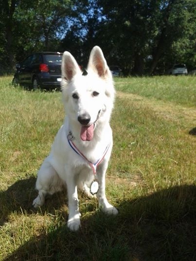 First idylle Du Bois Des Ternes - TAT réussi