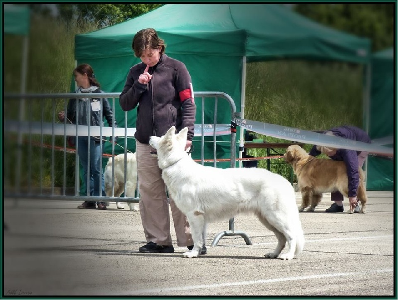 First idylle Du Bois Des Ternes - 1ère Excellent CACS BOS