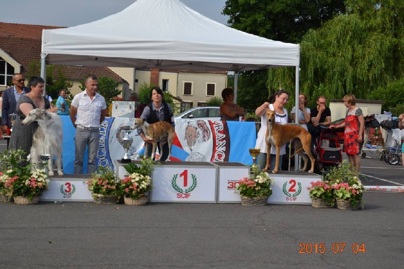 CH. airy elf's Made for love - 1er EXC, CACS, BOB, BOG 2, classe ouverte femelle