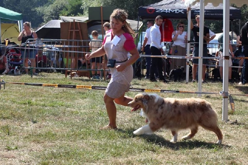 Help me to reach the stars des roches d'Orvaz - 3ème excellent en classe ouverte femelle