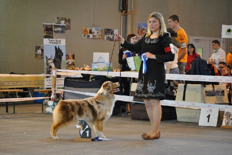 Help me to reach the stars des roches d'Orvaz - 1ère EXC en CI femelle