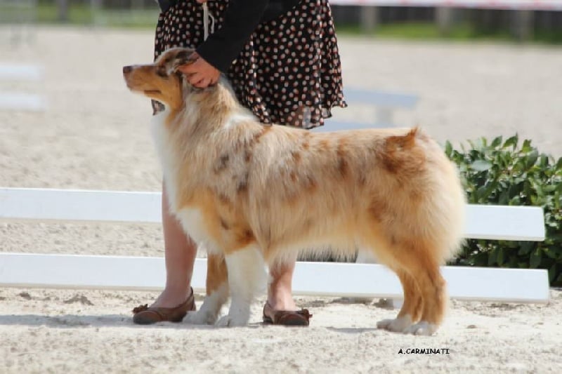 Help me to reach the stars des roches d'Orvaz - Excellent