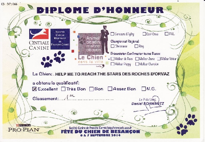 Help me to reach the stars des roches d'Orvaz - 1ère EXC en CO Femelle