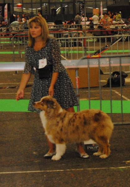 Help me to reach the stars des roches d'Orvaz - 2ème excellent en classe ouverte, RCACS