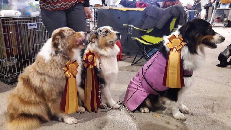 Help me to reach the stars des roches d'Orvaz - excellente en classe ouverte