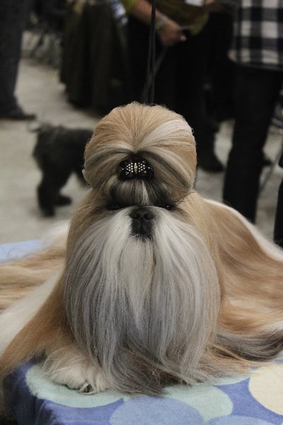 CH. Sankara domaine des  atlantes