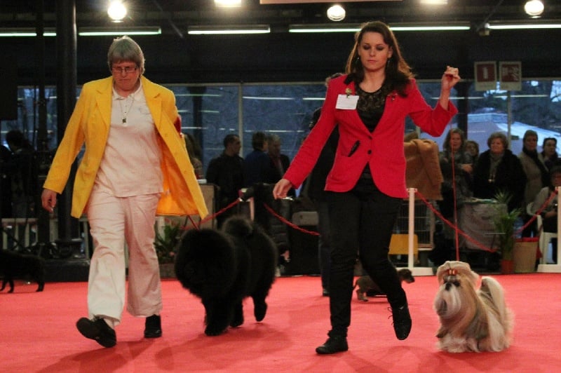 CH. Sankara domaine des  atlantes