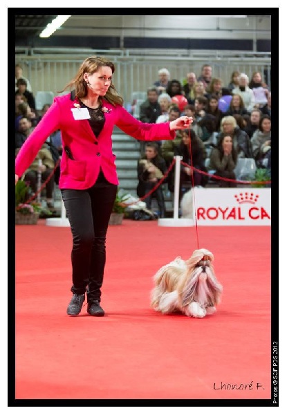 CH. Sankara domaine des  atlantes