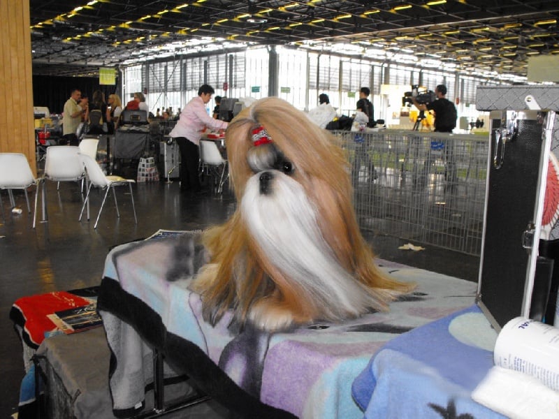 CH. Sankara domaine des  atlantes