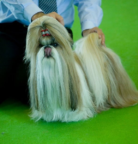 CH. Sankara domaine des  atlantes