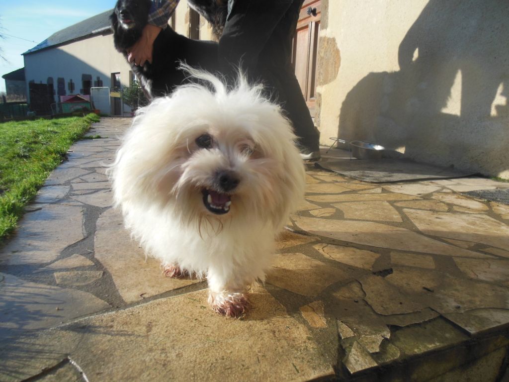 Jaime du clos d'athena