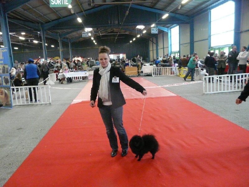 CH. Gladys (Sans Affixe) - 2ème EXCELLENT en classe ouverte