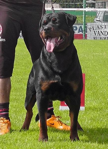 Publication : Imperial Warrior