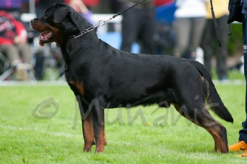 Publication : Imperial Warrior