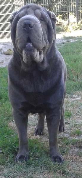 Publication : du Ferraillon