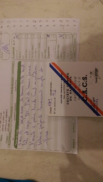 CH. Itch Of Little Blue Stars - 1 ER EX CASC OUVERTE