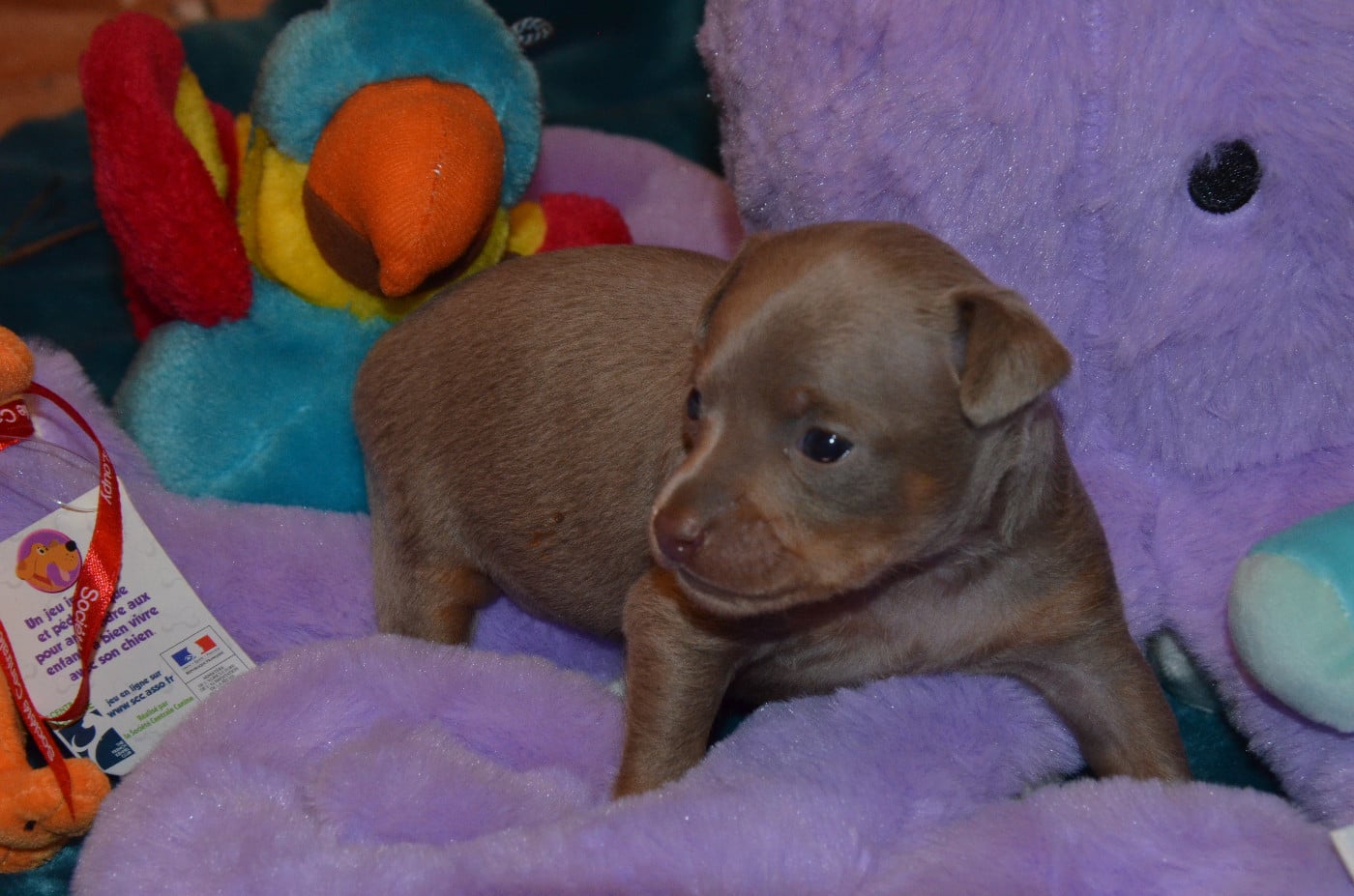 A......................