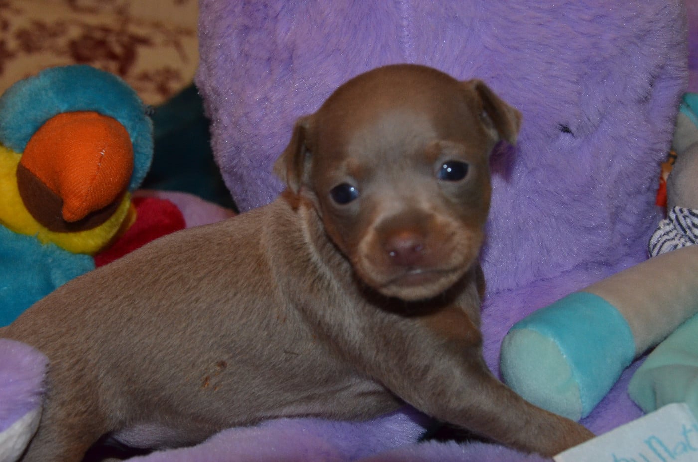 A......................